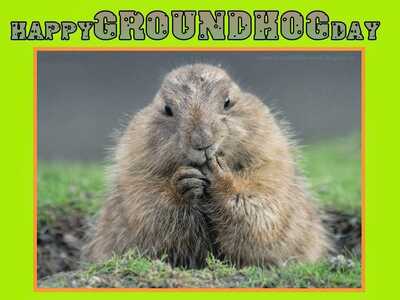 Happy Groundhog Day Greetings Card eCard Free Groundhog Day Quotes