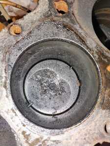 IMG 20251203 191501540 AE