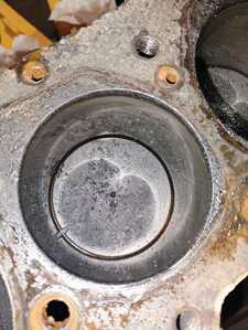 IMG 20251203 191456275 AE