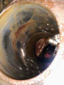 IMG 20260215 173419286 AE