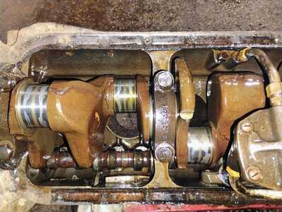 IMG 20260215 173312862 AE